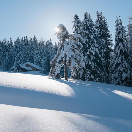 Cityview Brixen Dış mekan fotoğraf